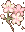 sakuraflower
