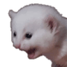 Screm