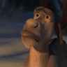 donkey