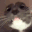 ayothepizzahere