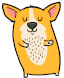 CorgiDance