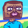 steveTF