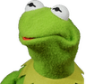 kermit_wtf