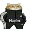 napim