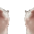catkissing
