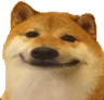 ad_doge_palmface