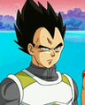 Ac_4uhvegeta