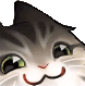 8465_smugcat