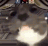 catt