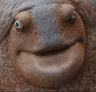ToadDerp