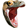KomodoHype