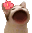 AMGirlPopCat
