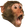 PogChimp