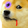 9541_dogeow