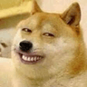 4178_dogesmirk