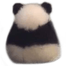 AngyPanda