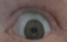 gingereye