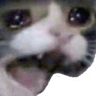 aaaaaaa