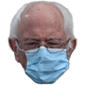 bernie_mask