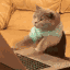 typing
