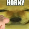 nohorny