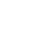 GottFriedChicken