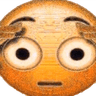 bro_wtf