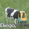 diego