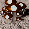 Smugshrooms