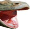 Pog