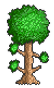 1426_terraria