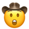 astonished_cowboy