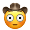 flushed_cowboy