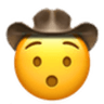 hushed_cowboy