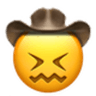 confounded_cowboy