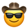 cool_cowboy