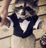 tuxraccoon