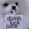 DumbFuckJuiceFRI