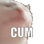 cumnice