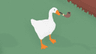 goosey