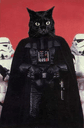 DarthCat