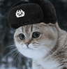 SovietCat