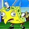 sponge
