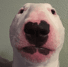 walter