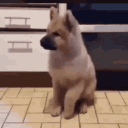 sls_tippytaps