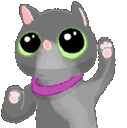 CatFistPump