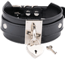 lockedcollar