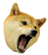 doge_attac_ud
