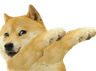 doge_dab_ud