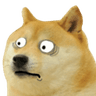 doge_shocked_ud